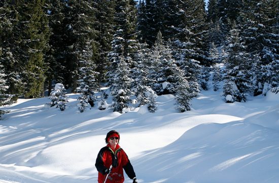 Happy cross country skier