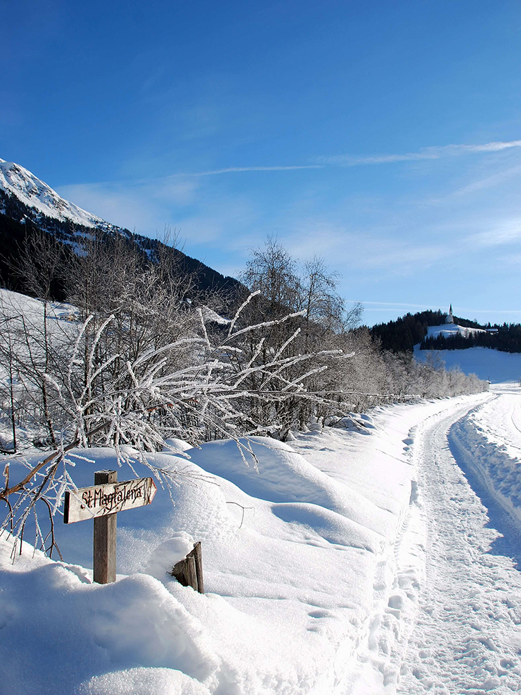 Bergblick im schönen Ratschingstal