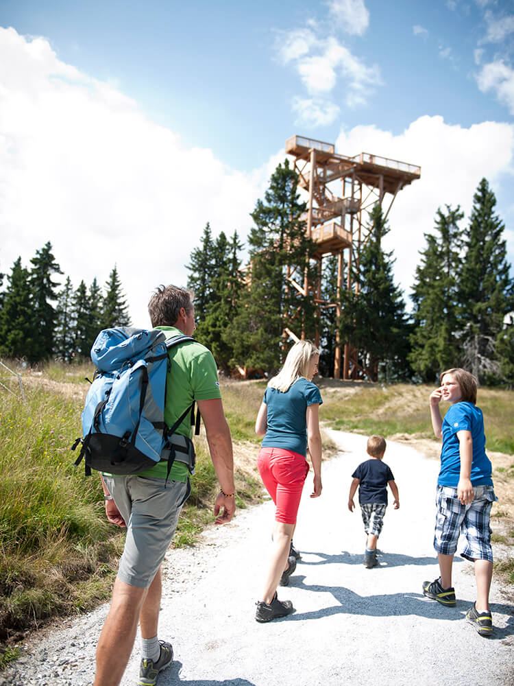 Bergblick im schönen Ratschingstal