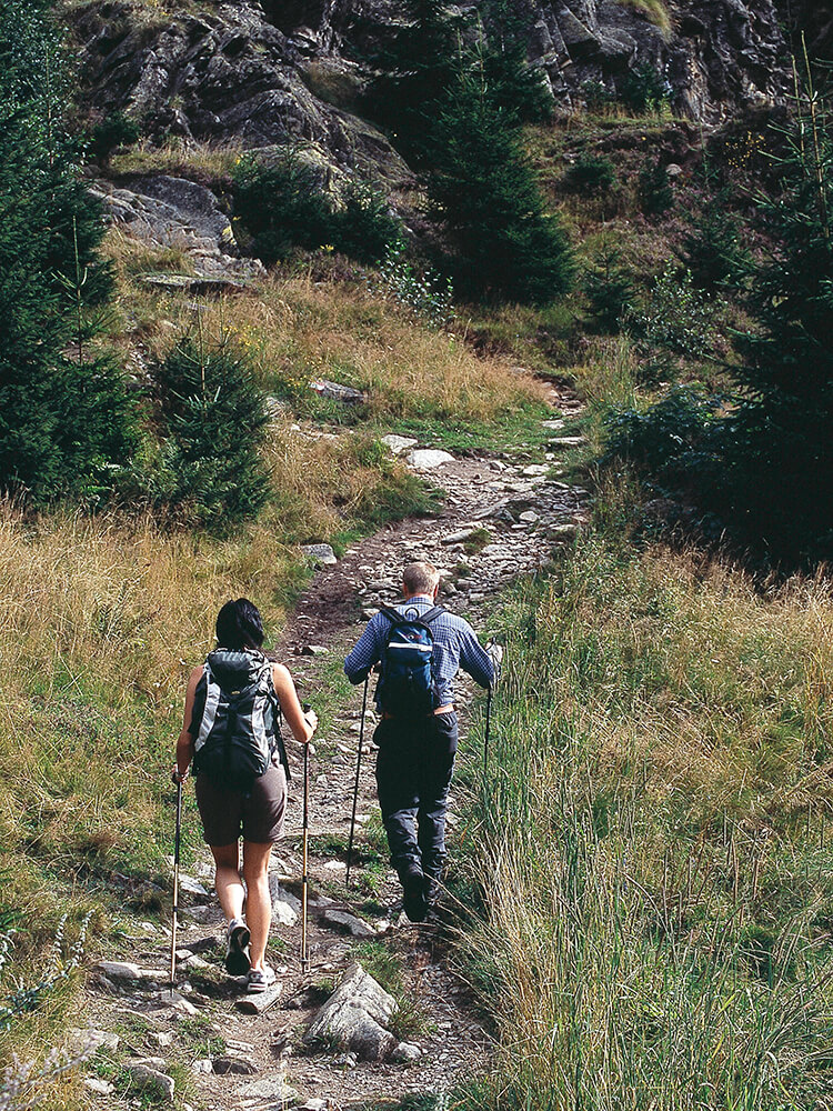 Bergblick im schönen Ratschingstal