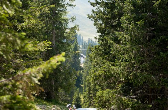 Wanderspaß mit der Familie