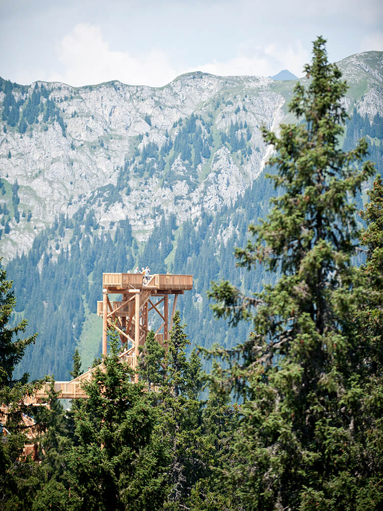 Bergblick im schönen Ratschingstal